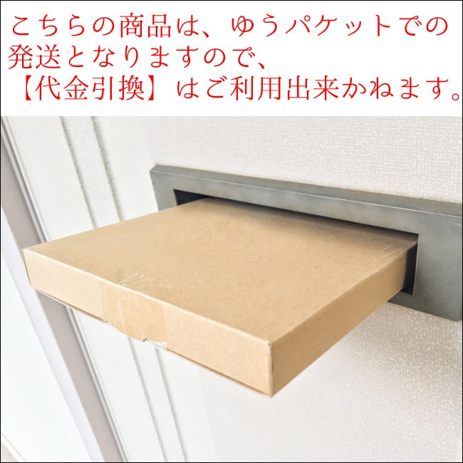 ［書籍］植物色の毎日 / 元気で活きのいい植物＆マルシェ オニヅカ店長 井上盛博（主婦の友社）【送料無料】