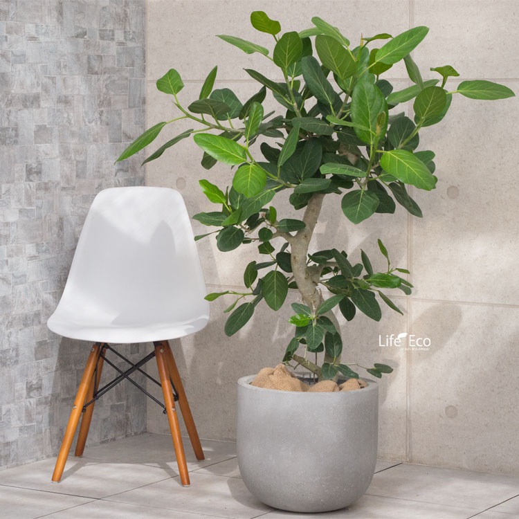 植木鉢 コーディル Uポット グレー φ46×H41cm（15号）AN-CU4641SC