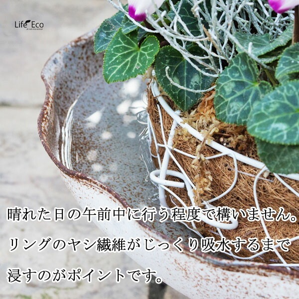 寄せ植え専用 リングバスケット アイアン ココファイバー ホワイト 白 W34cm×H9.5cm【送料B】