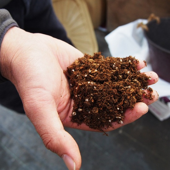 元気で活きのいい培養土(VS菌配合)～全植物用～ 20L袋【送料D】