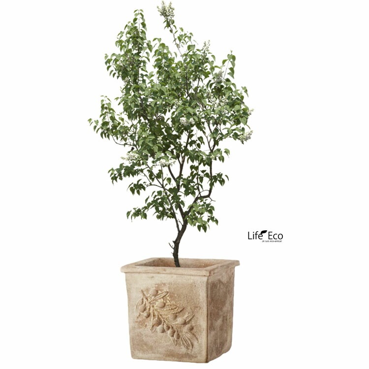 パステルカラーのオシドリの絵植木鉢の中古品アンティーク