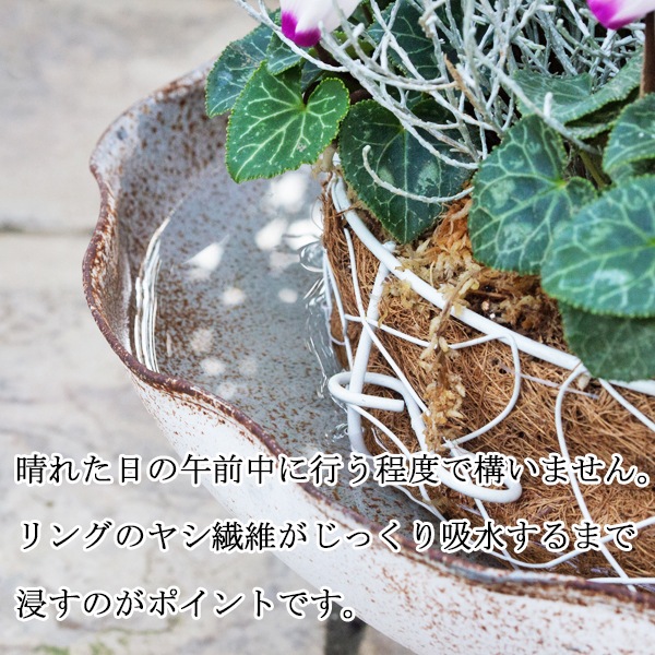 2個入寄せ植え専用 アイアンリースリング ココファイバー付 ブラック M W28×H9.0cm【送料B】