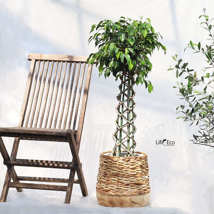 鉢カバー 自然素材・木製 ナックス コンビシャロー ナチュラル φ28cm×H22cm（9号）【2個入】【送料E】