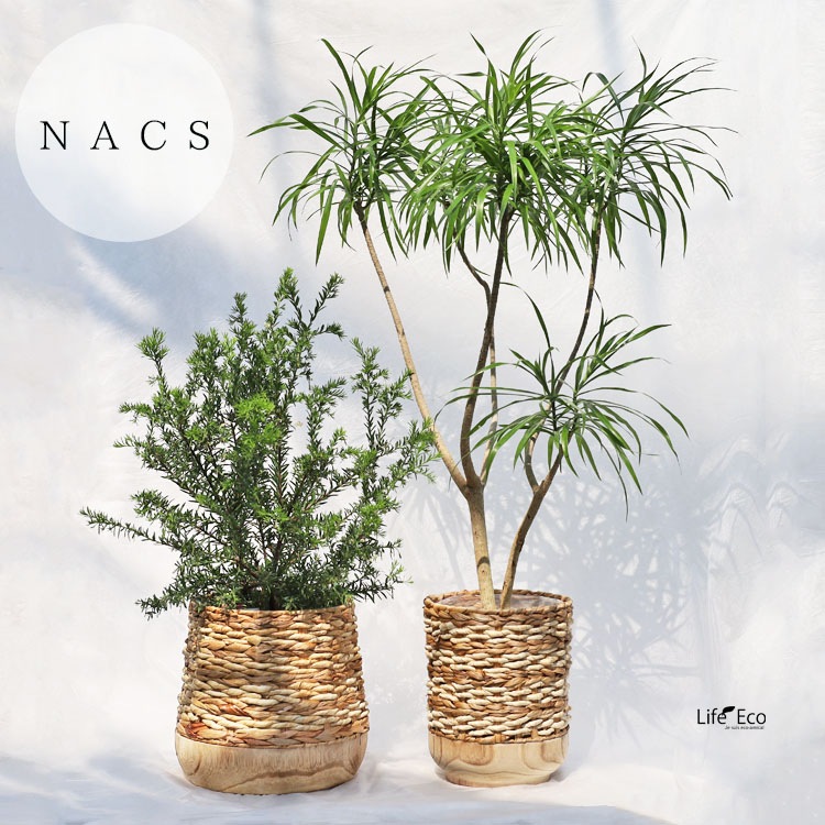 鉢カバー 自然素材・木製 ナックス コンビシャロー ナチュラル φ28cm×H22cm（9号）【2個入】【送料E】