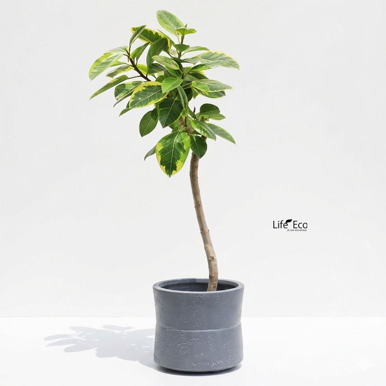 植木鉢 軽量 ファイバークレイ製 ホルム（HORLUM） ナロー グレー（灰） φ23cm×H22cm（8号・8寸）【送料D】