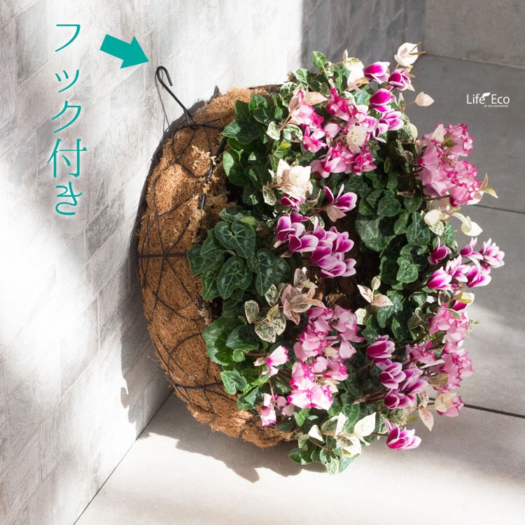 2個入寄せ植え専用 アイアンリースリング ココファイバー付 ホワイトM W28×H9.0cm【送料B】