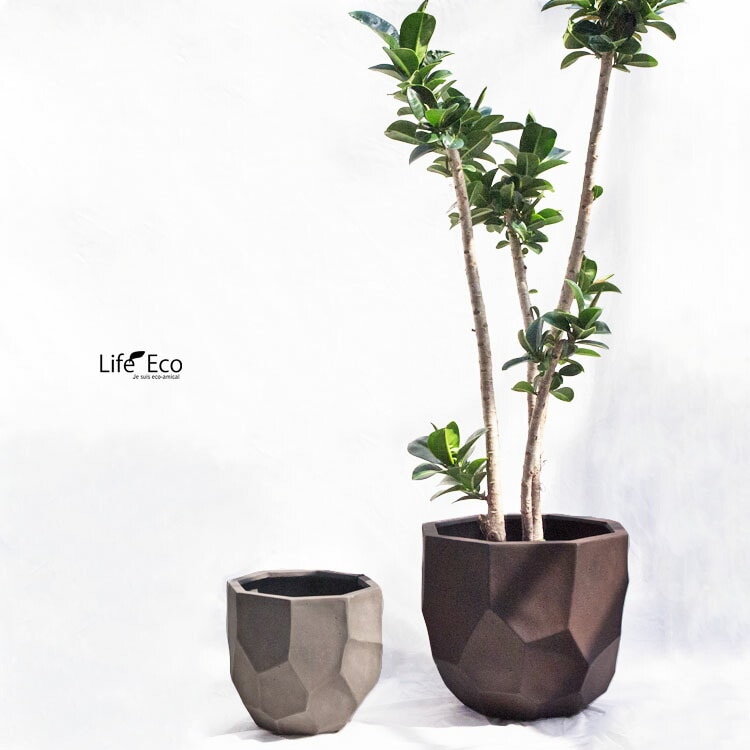 ESCHBACH ドイツ製 コンクリート 植木鉢 大型 B 71LTeUzqKCL._UF350,350_QL80_.jpg