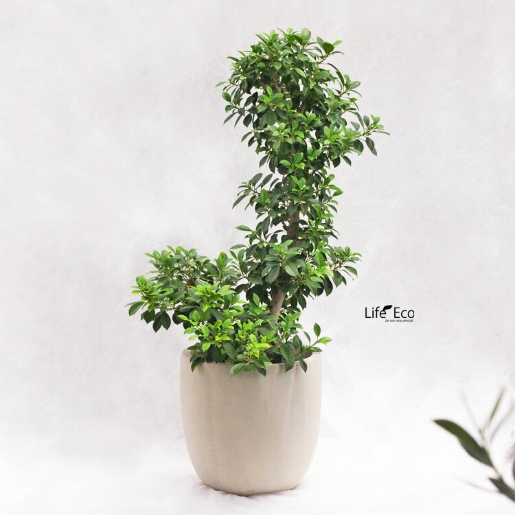 植木鉢 大型 軽量 エイリアス ラウンド ウォッシュグレー φ35cm×H34.4cm（12号）【送料E】