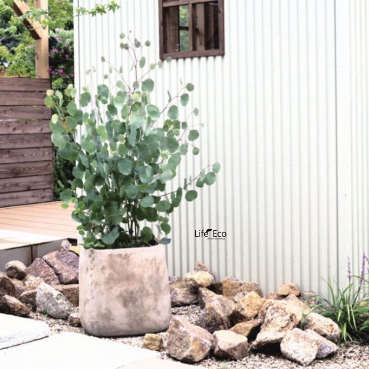 植木鉢 大型 アンティーク調 素焼き テラコッタ製 ルーガ アンティコ スクエアー φ43cm×H41cm（14号）【送料F】