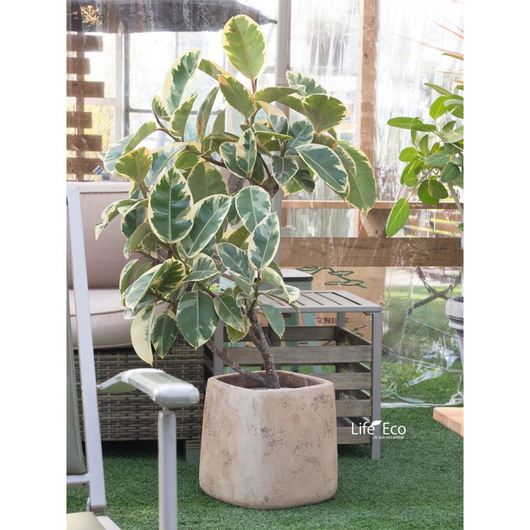 植木鉢 大型 アンティーク調 素焼き テラコッタ製 ルーガ アンティコ スクエアー φ43cm×H41cm（14号）【送料F】