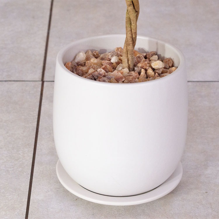 植木鉢 釉薬陶器製 インテリアポット オスト ボール マットホワイト 皿付13cm 【4個入】【送料E】