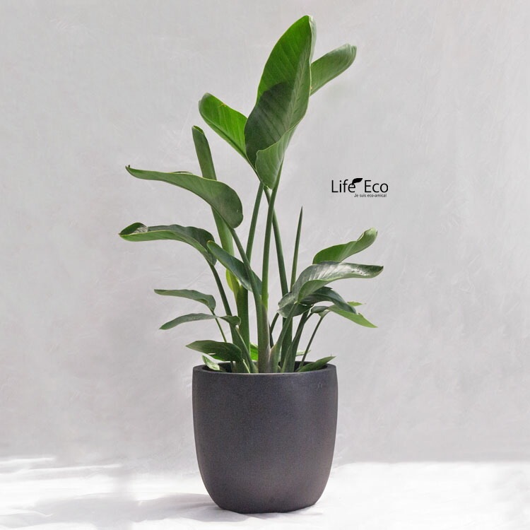 植木鉢 大型 軽量 エイリアス ラウンド ブラック（黒） φ43cm×H41cm（14号）【送料F】