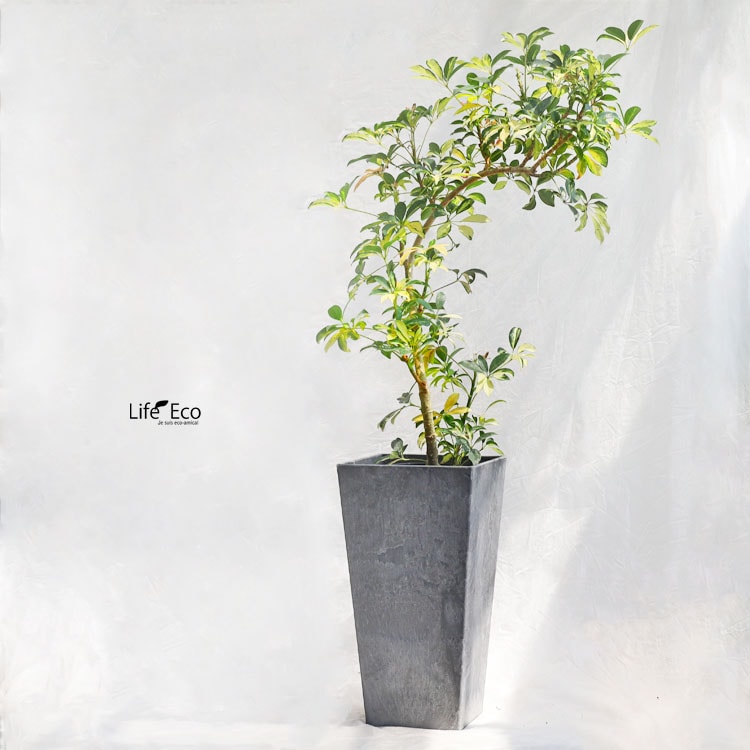 地上絵ストーン 鉢カバー アートストーン ボーラカバー 6号鉢用 ベージュ