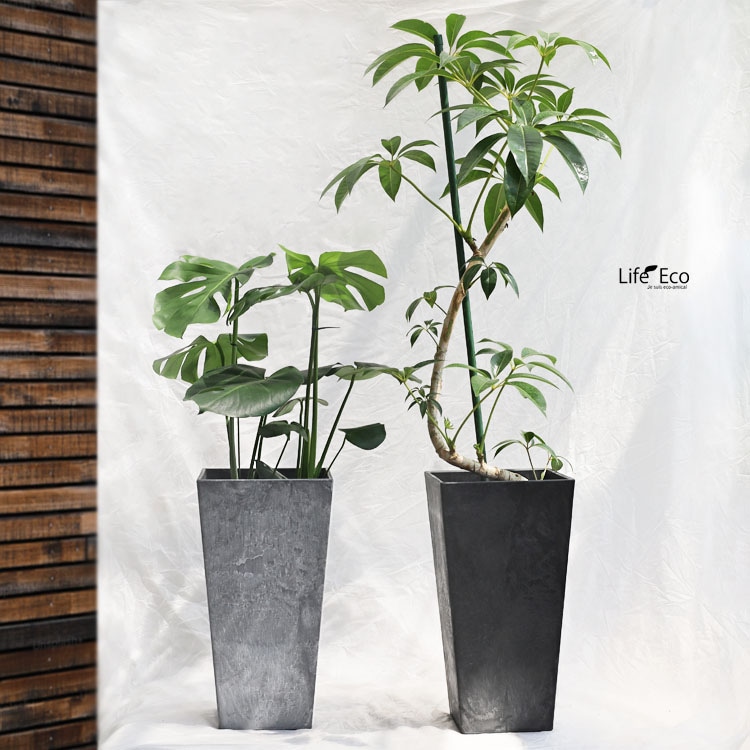 地上絵ストーン 植木鉢/底面給水/軽量鉢】ARTSTONE アートストーン ラウンド Φ22cm