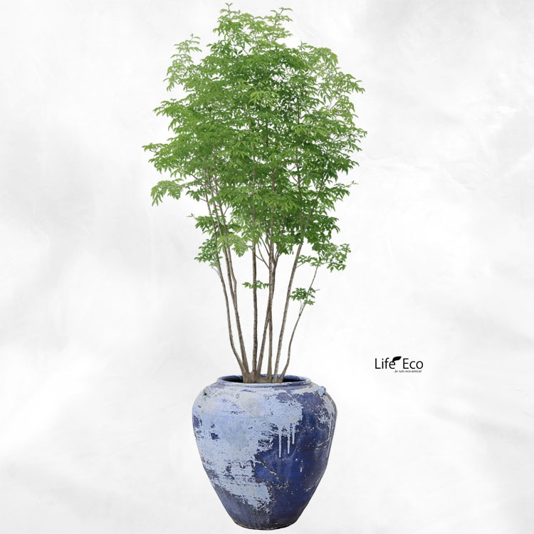 植木鉢 釉薬陶器製 大型 ライスター ジャー ブルーライム（青） φ55cm×H59.5cm（18号）【パレット配送・送料お見積り】