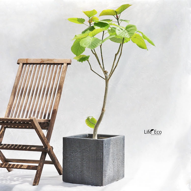 植木鉢 大型 ファイバークレイ製 バーウッド キューブ グレー（灰） □40cm×H40.5cm（13号）【送料E】