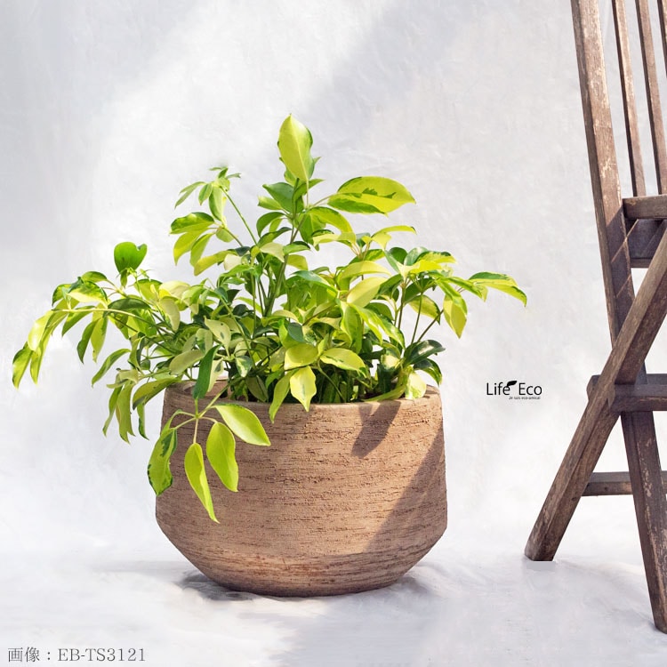 植木鉢 テラコッタ製（素焼き鉢） テラサモ ロースラント φ31cm×H22cm（10号）【送料E】