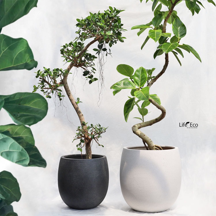 植木鉢 軽量大型 FRP製 プラスター バルーン ホワイト（白）φ35cm×H35cm（12号）【送料E】