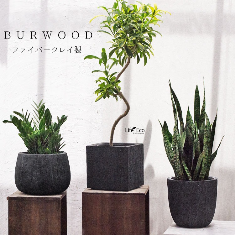 植木鉢 大型 ファイバークレイ製 バーウッド キューブ ブラック（黒） □50.5cm×H50cm（17号）【送料F】