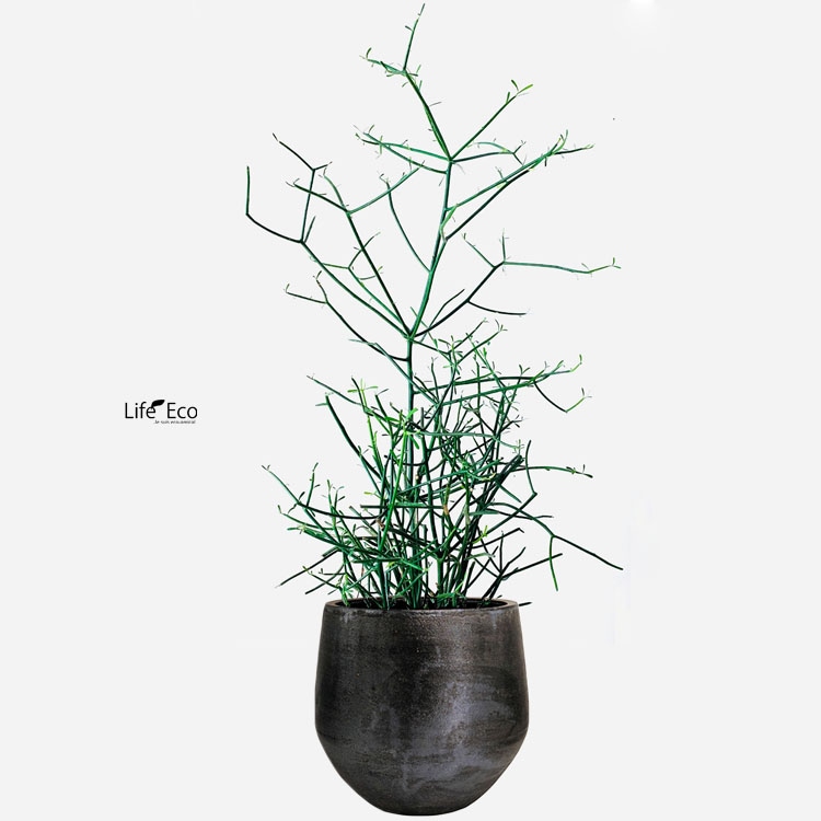植木鉢 釉薬陶器製 大型 ライスター エッグ ブラック（黒） φ45cm×H44.5cm（15号）【送料G】