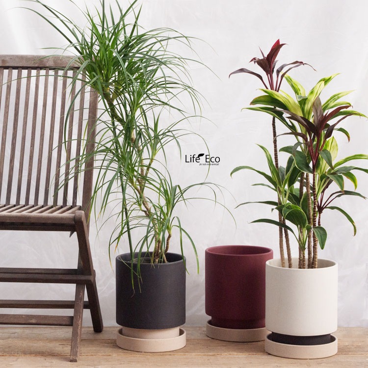 植木鉢 インテリアポット 釉薬陶器製 パラドック トール ホワイト（白） φ21.5cm×H25.5cm（7号）【送料E】