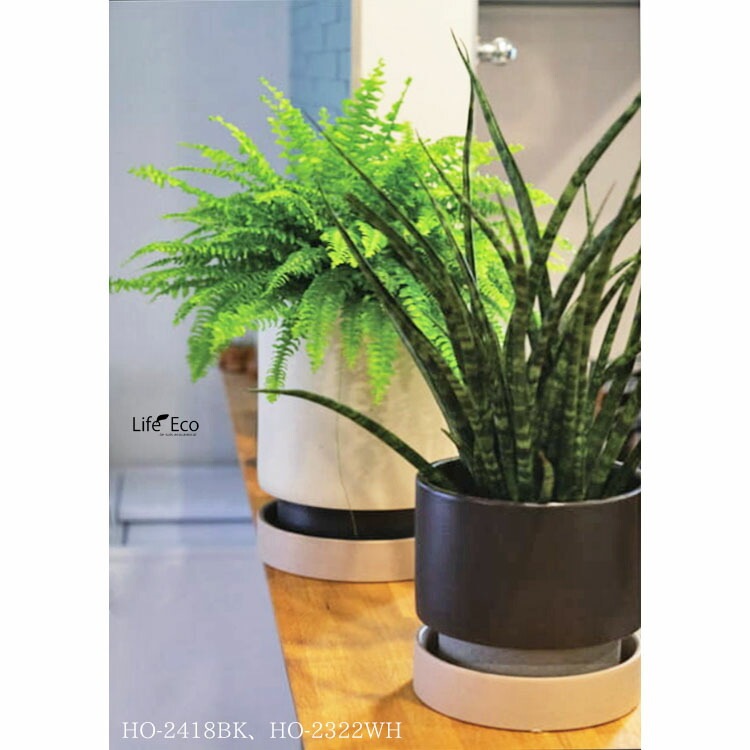 植木鉢 インテリアポット 釉薬陶器製 パラドック トール ホワイト（白） φ21.5cm×H25.5cm（7号）【送料E】