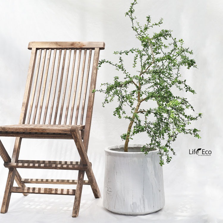 植木鉢 大型 軽量 ファイバークレイ製 バウム（BAUM） ラウンド グレー