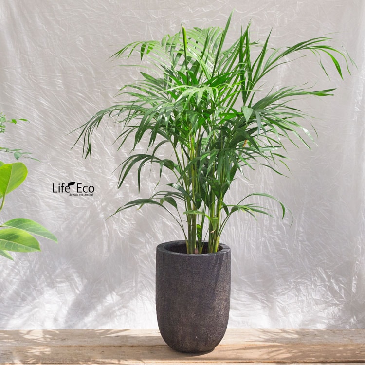 植木鉢 軽量 FRP製 ラヴァライト トールラウンド ブラック（黒） / φ25×H35cm（8号）【送料E】