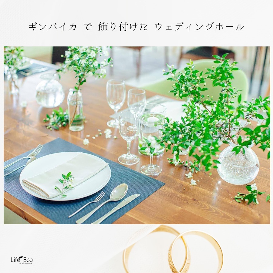 切り枝（枝物）ギンバイカ（銀梅花・銀香梅・マートル）約150cm【3本セット】【送料I】