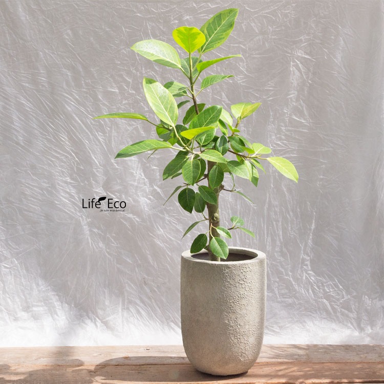 植木鉢 軽量 FRP製 ラヴァライト トールラウンド クリーム（ベージュ） / φ25×H35cm（8号）【送料E】