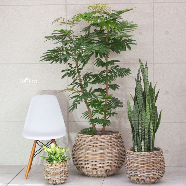 コロニアルチェック　ラタンバスケット d9293ed5db2fe91407e35f127a70d5