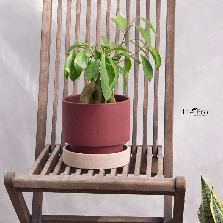 植木鉢 インテリアポット 釉薬陶器製 パラドック ボルドー（レッド・赤