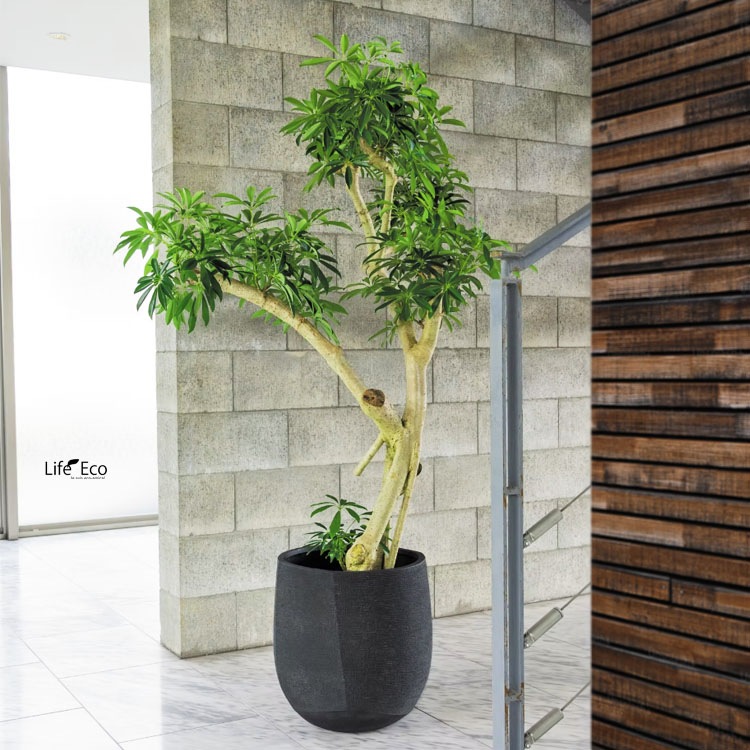 植木鉢 軽量大型 FRP製 リーヴァ バルーン アンティークブラック（黒） φ33cm×H32cm（11号）【送料E】