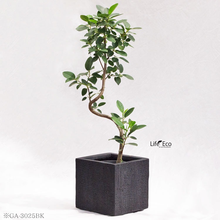 植木鉢 ファイバークレイ製 バーウッド キューブ ブラック（黒） □25cm×H25cm（8号）【送料D】