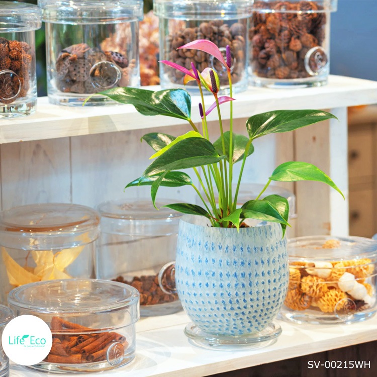 植木鉢 ガラス製インテリアポット メルト（MELT） エッグ ブラック（黒） φ11cm×H12.5cm（4号・4寸）【底穴有・受皿付】【送料D】