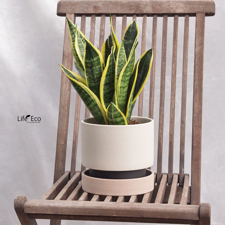 植木鉢 インテリアポット 釉薬陶器製 パラドック ホワイト（白）φ18cm