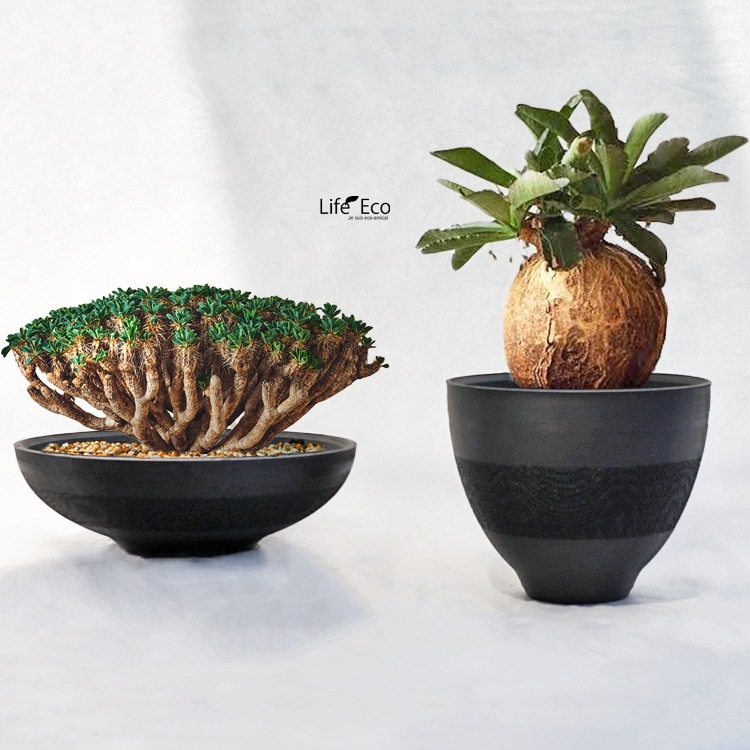 植木鉢 3Dプリンター製 ラウンドメッシュ ブラック（黒） / φ18cm×H10cm（6号）【送料D】