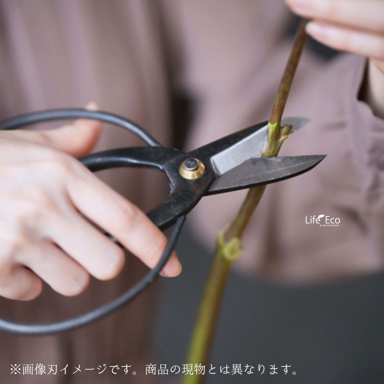 三木章 【左利用】木鋏（キバサミ）特級品 K-17L 180mm / 園芸