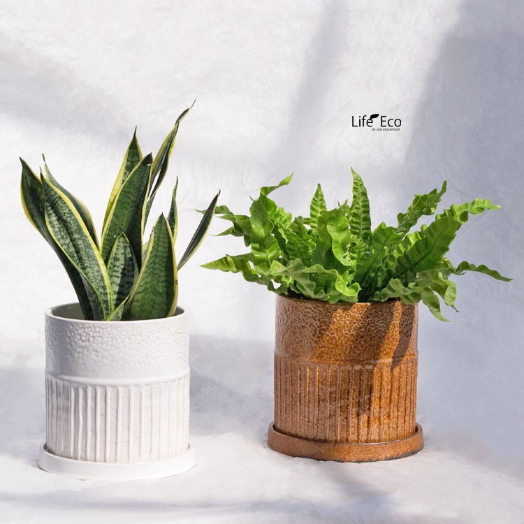 植木鉢 インテリアポット 釉薬陶器製 ライネル ホワイト（白） φ18.5cm×H19cm（6号）【送料E】