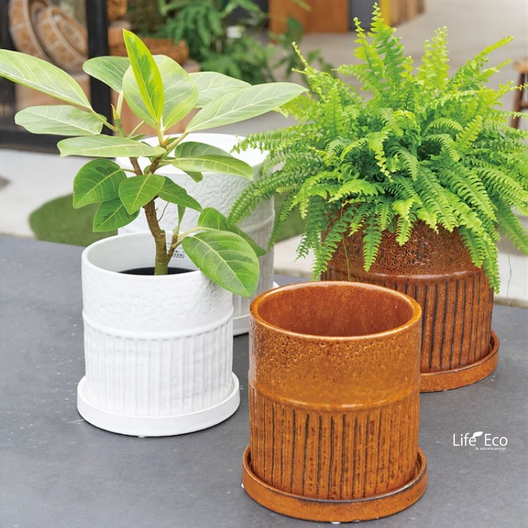 植木鉢 インテリアポット 釉薬陶器製 ライネル ホワイト（白） φ18.5cm×H19cm（6号）【送料E】