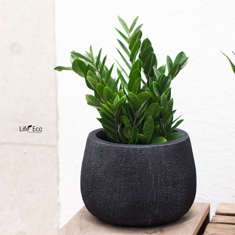 植木鉢 大型 ファイバークレイ製 バーウッド シャロー ブラック（黒） φ47cm×H31.5cm（16号）【送料F】