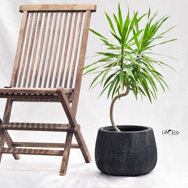 植木鉢 大型 ファイバークレイ製 バーウッド シャロー ブラック（黒） φ47cm×H31.5cm（16号）【送料F】