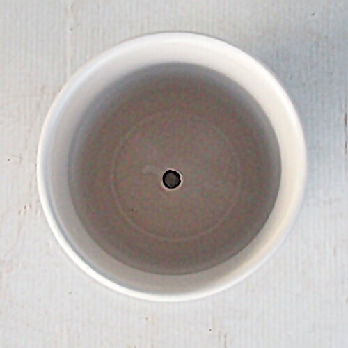 植木鉢 釉薬陶器製 インテリアポット オスト トールエッグ マットホワイト皿付 15cm（5号）【送料D】