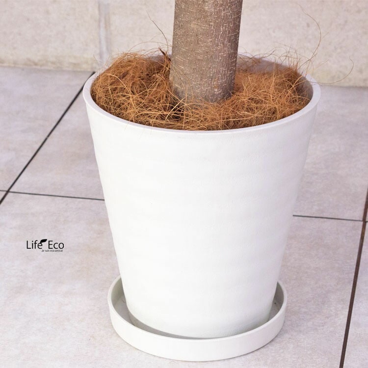 植木鉢 樹脂製ポット セラアート ラウンド 長鉢 ホワイト（白）φ24cm 受皿付 【2個入】【送料B】