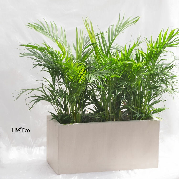 植木鉢 大型 軽量 エイリアス プランター ウォッシュグレー L79cm×W37.5cm×H40cm（26号）【送料F】