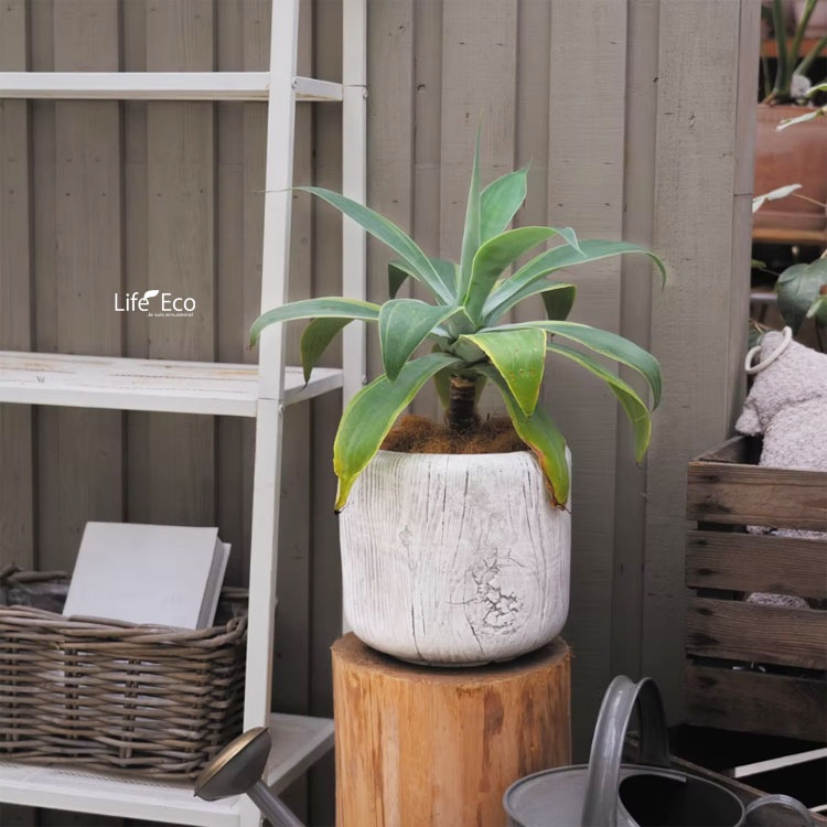 植木鉢 軽量 ファイバークレイ製 バウム（BAUM） ジャー グレー（灰） φ24.5cm×H22.5cm（8号・8寸）【送料D】