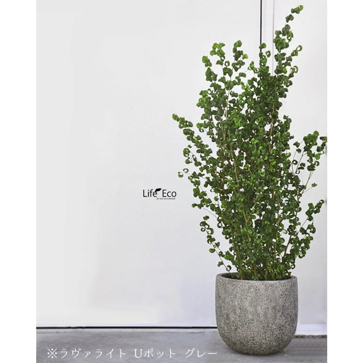 植木鉢 軽量 FRP製 ラヴァライト Uポット グレー（灰） / φ32×H32cm（11号）【送料E】