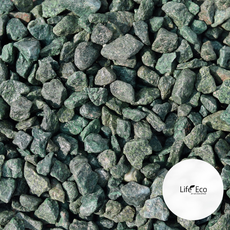 Top【選抜株】21297アエオニウム グリーンビーンペースト15個鉢無し/脱土 鉢土に載せるマルチングストーン（カラーストーン・化粧石）ディープ