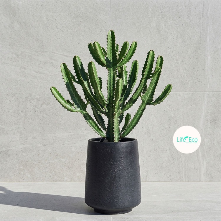 植木鉢 大型 軽量 ファイバークレイ製 サンベル（SANVEL） トール ブラック（黒） φ30cm×H40cm（10号・10寸）【送料E】