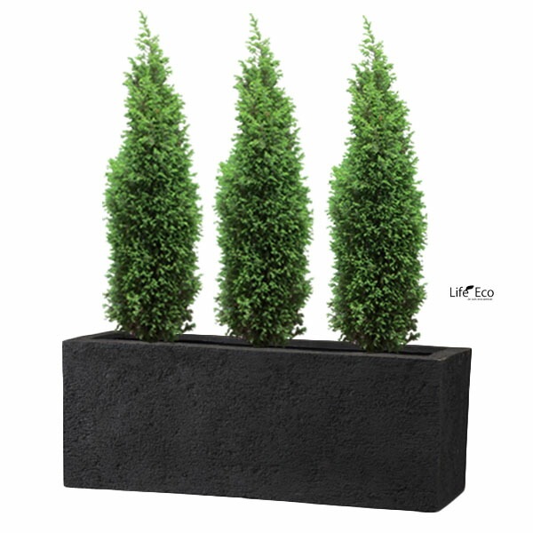 植木鉢 大型 軽量 新素材ポリストーンライト リガンデ プランター ブラック（黒）L60cm×W20cm×H20cm（20号）【送料E】